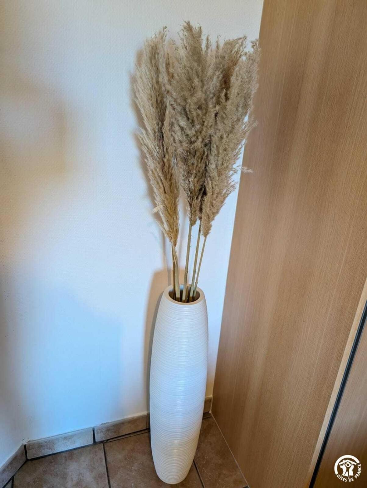 La Caunette La Maison Millesime Bed & Breakfast エクステリア 写真